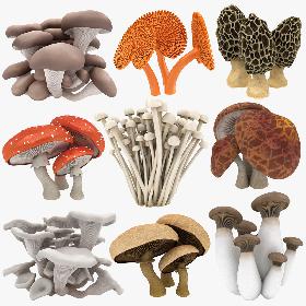 Mushrooms Collection 3 3D